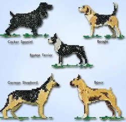 1719 MCC DOG_01